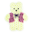 white_teddy.jpg